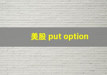 美股 put option